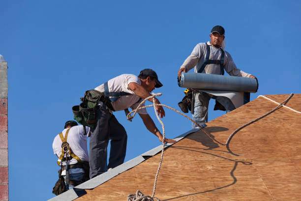 Roof Gutter Cleaning in Big Bend, WI